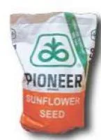 Семена подсолнечника Пионер (PIONEER)