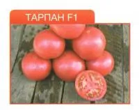 Семена розового томата Тарпан F1 (1000с)