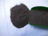 Люцерна семена трав на корм (клевер, фацелия, горчица)