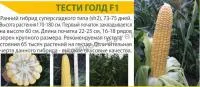 Семена супер сладкой кукурузы Тести Голд F1 Agri Saaten GmbH (5000 семян)