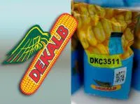 Семена кукурузы МОНСАНТО ДКС Декалб (Monsanto) DKC