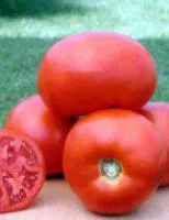 Семена томатов САДИК F1 (SADIQ F1)
