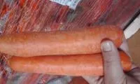 Морковь Израиль